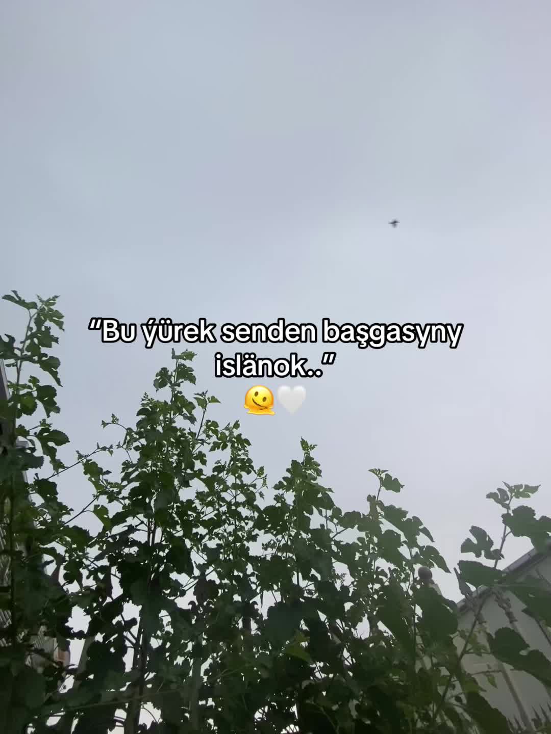 @ballyýevvv