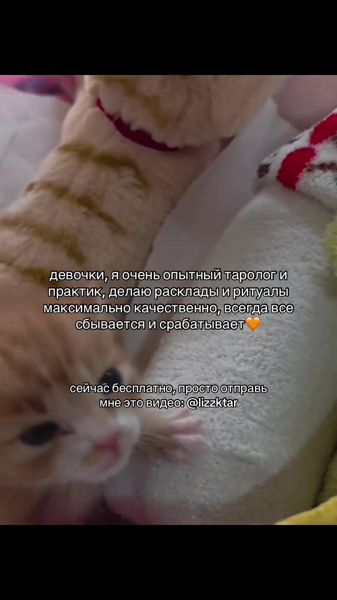 @prtarr0tka