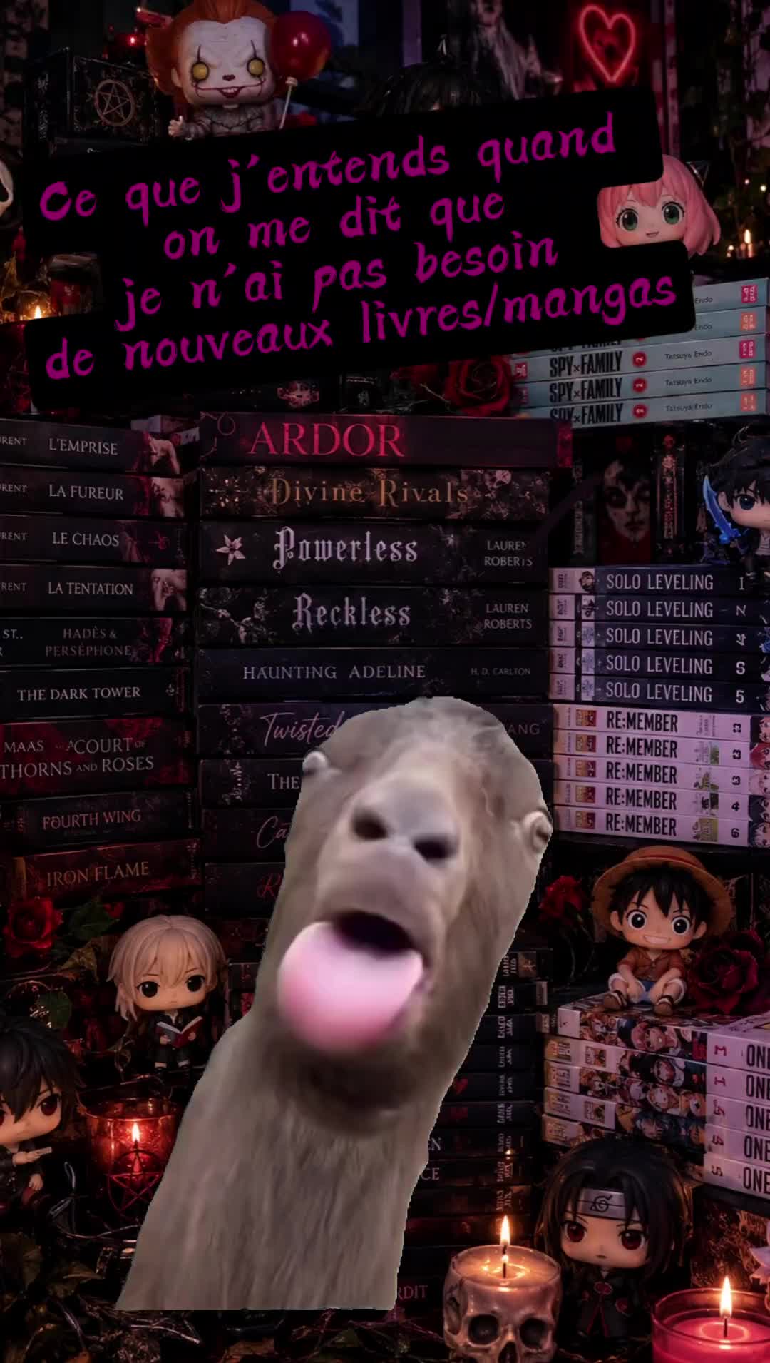 @koala_booklover