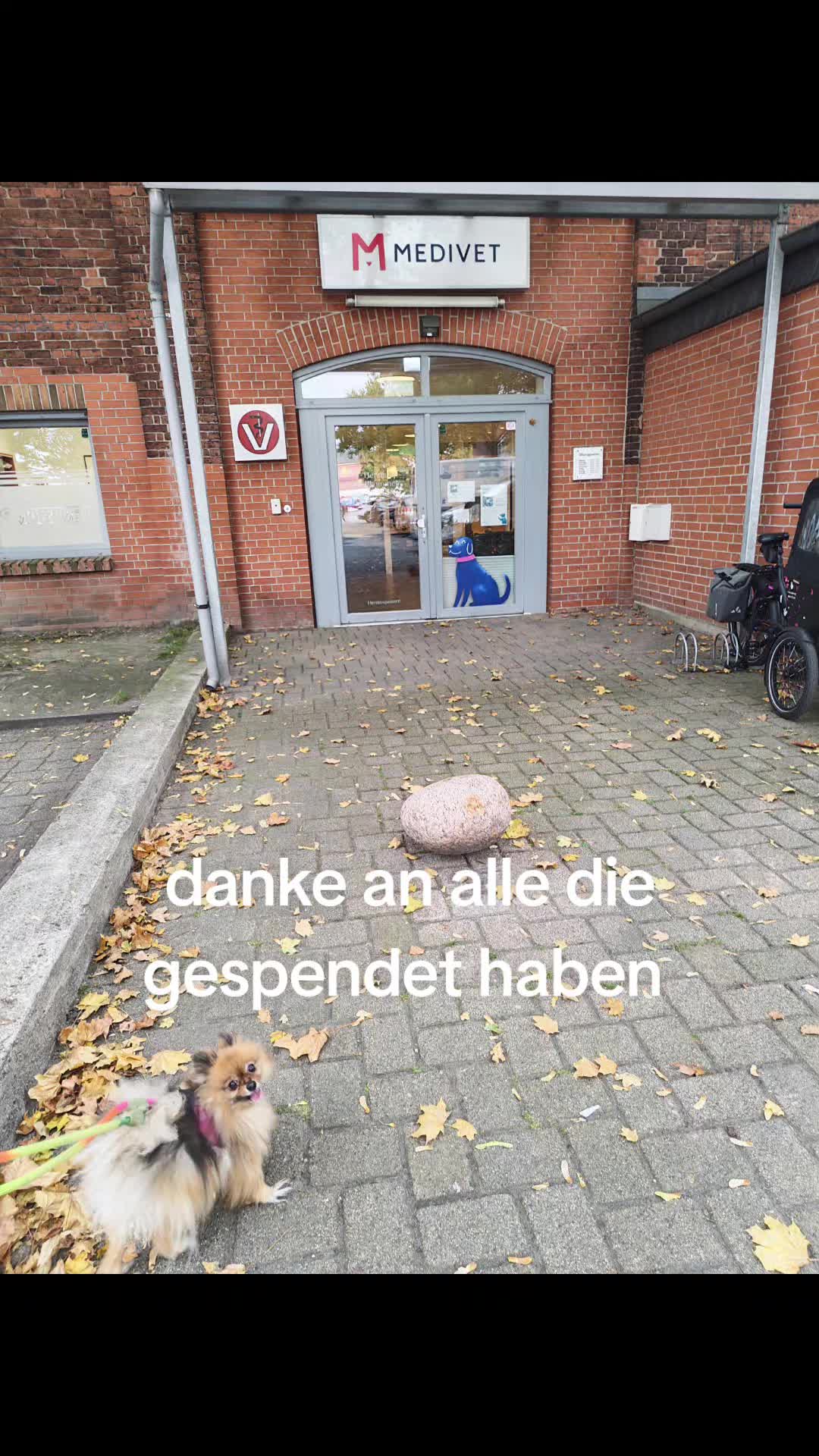 @°•✩𝓅𝑜𝓂_𝒻𝓁𝓊𝒻𝒻✩•°