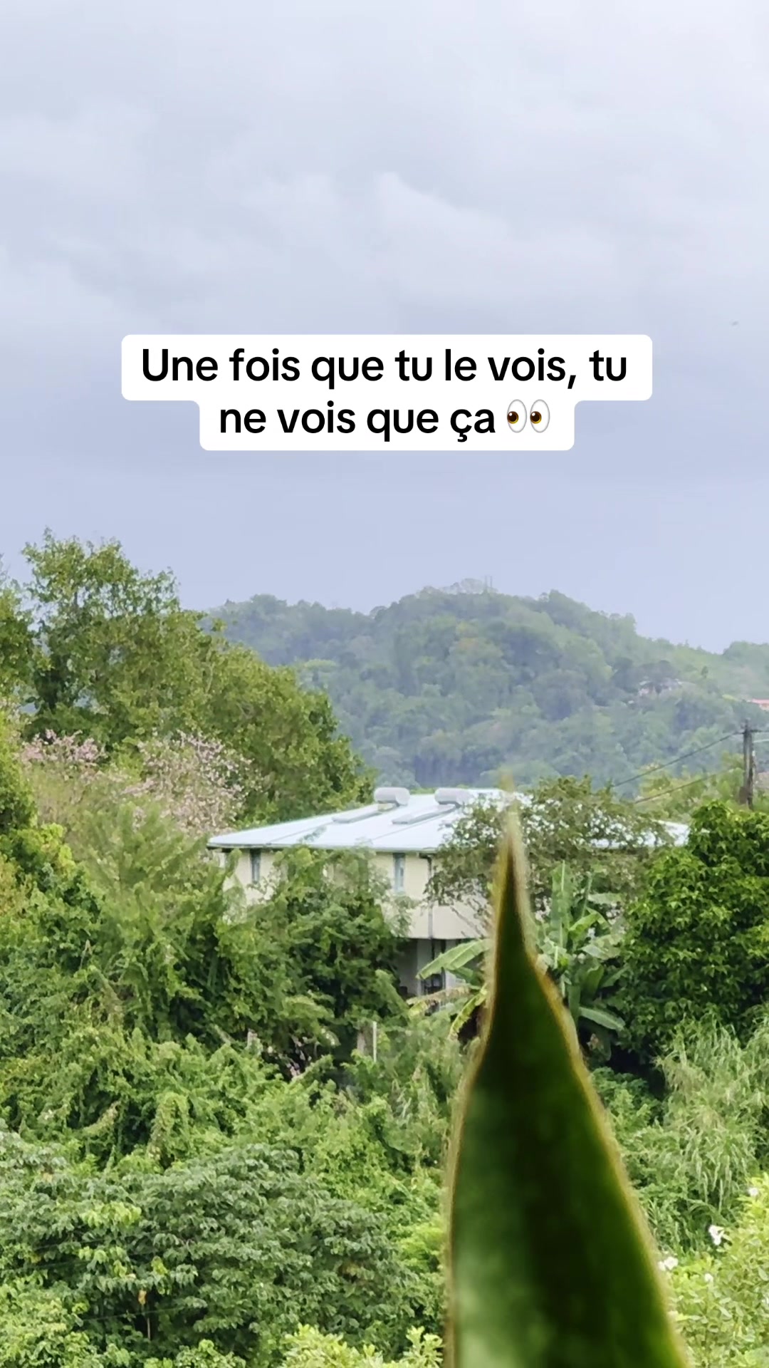 @M’Dezoen (Aime deux zoo haine)