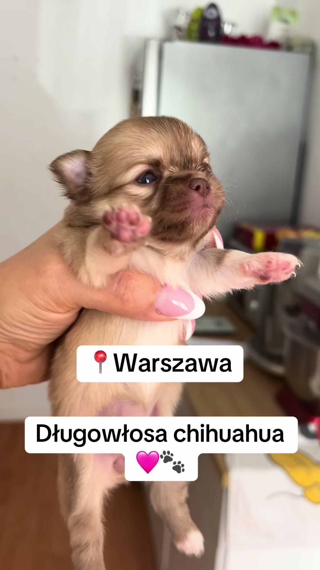 @Ulybki_lilu