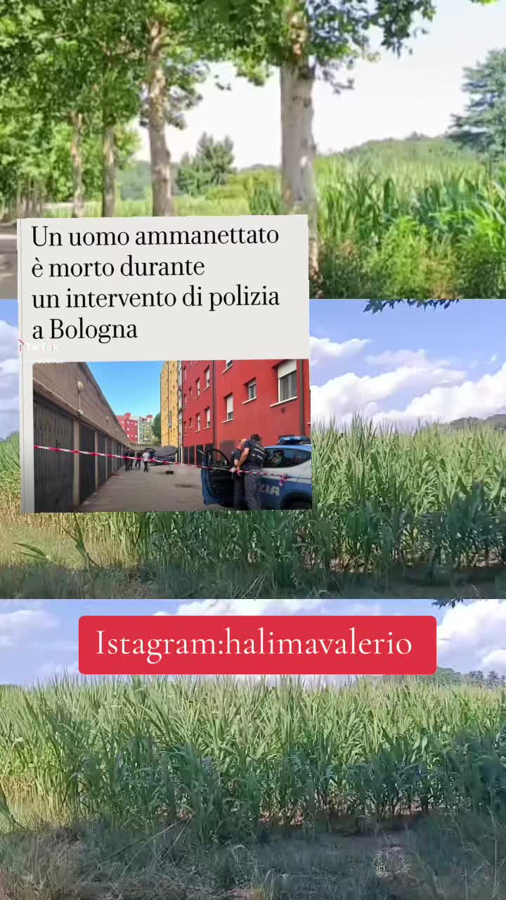 @halima_Valerio