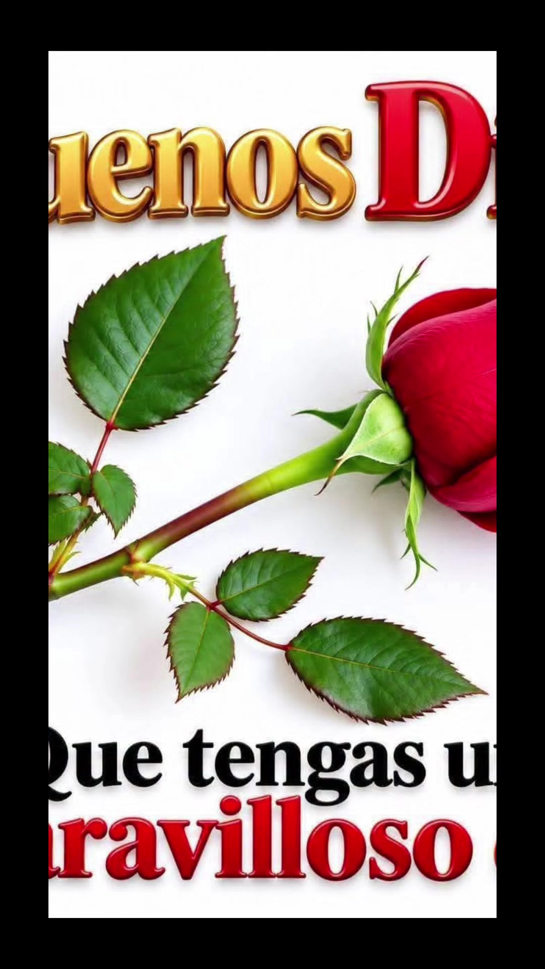 @Ana