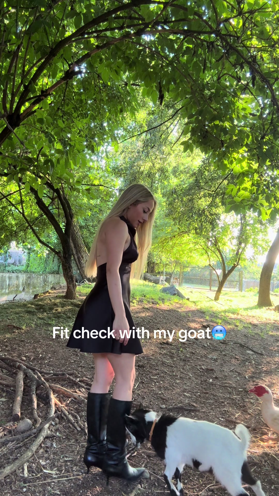@Martina