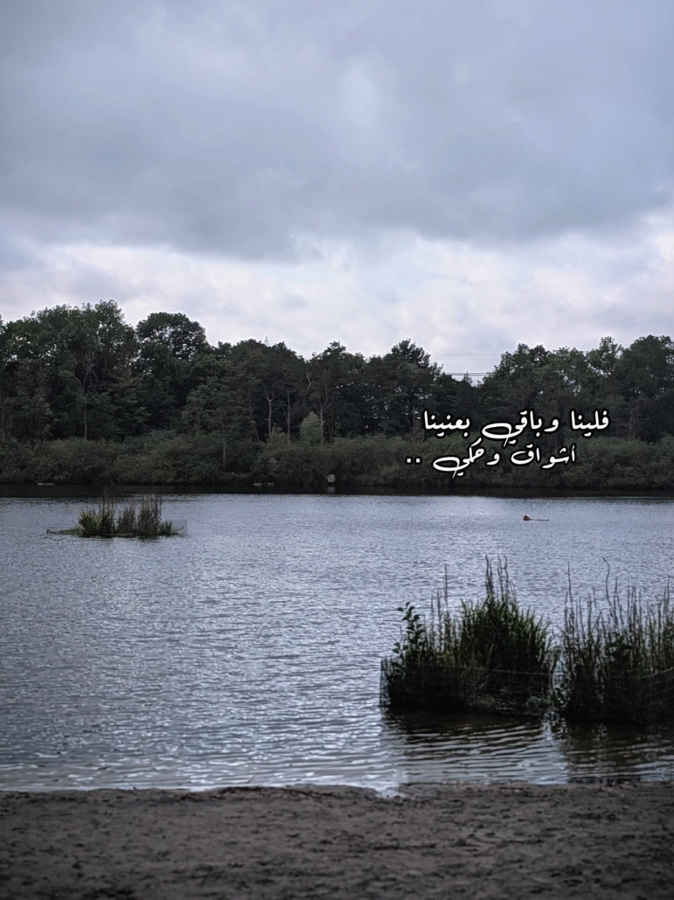 @Shereen Hasan