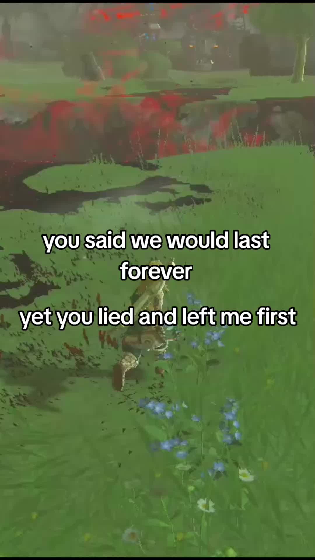 @cassio