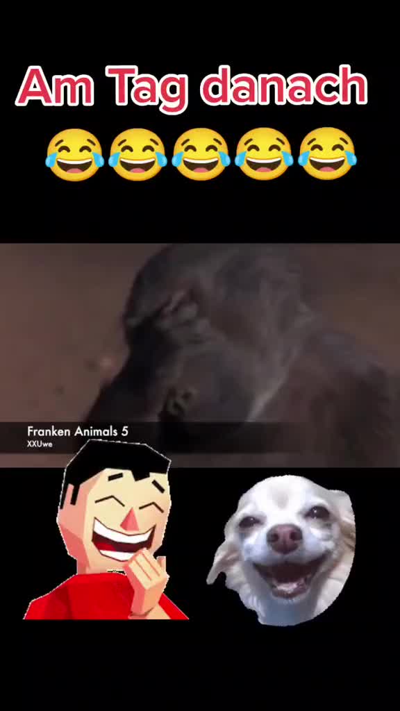 @🐗Fr&auml;nkischer-Rampen- Eber🐗