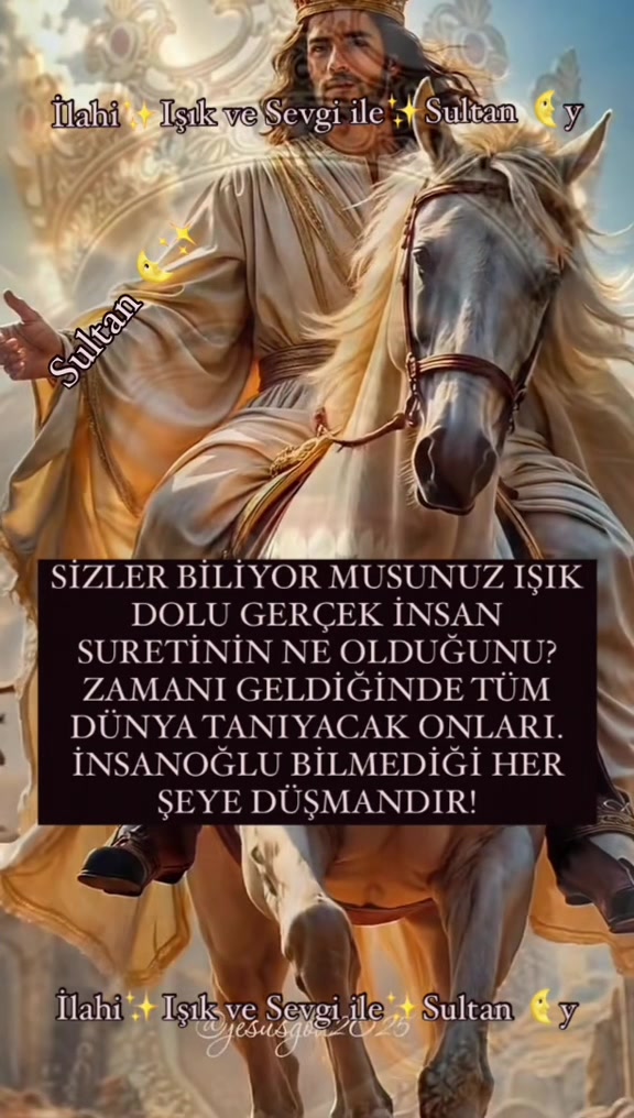 @Sultan 🌜y