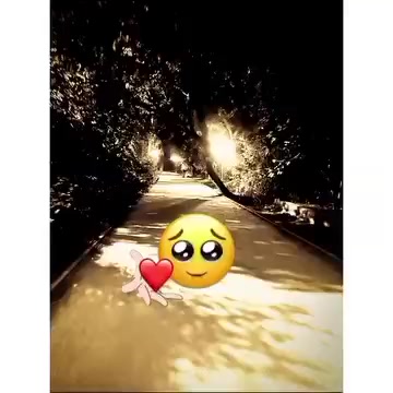 @kaif khan