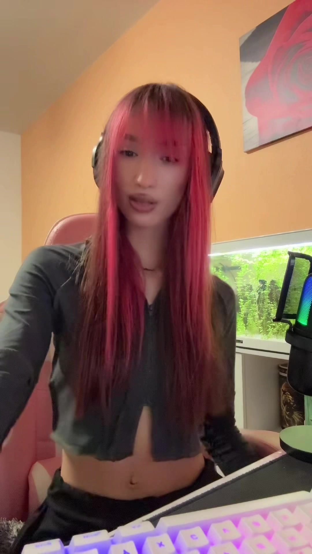 @โ ๐ข๐๐ต๐ต๐ช๐น๐ผ โ