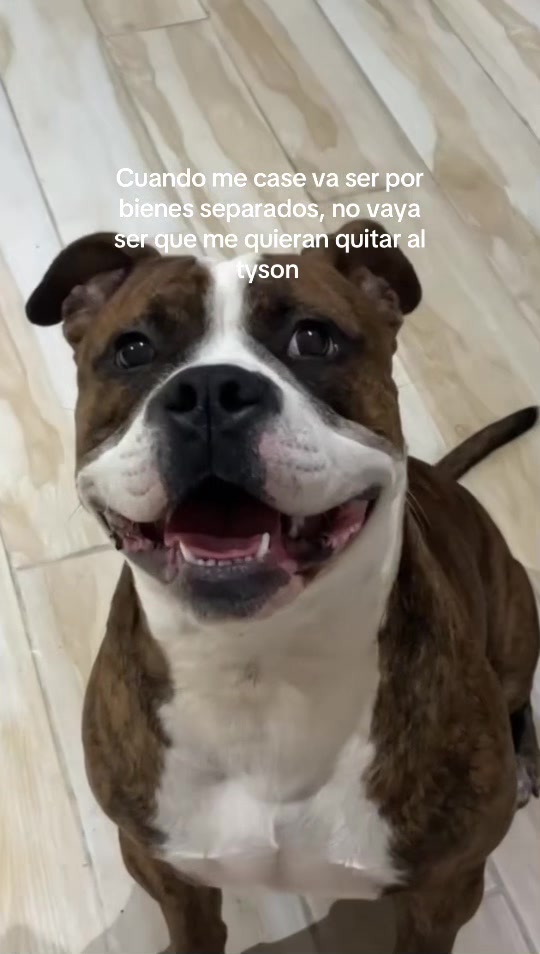 @Dylan Magos