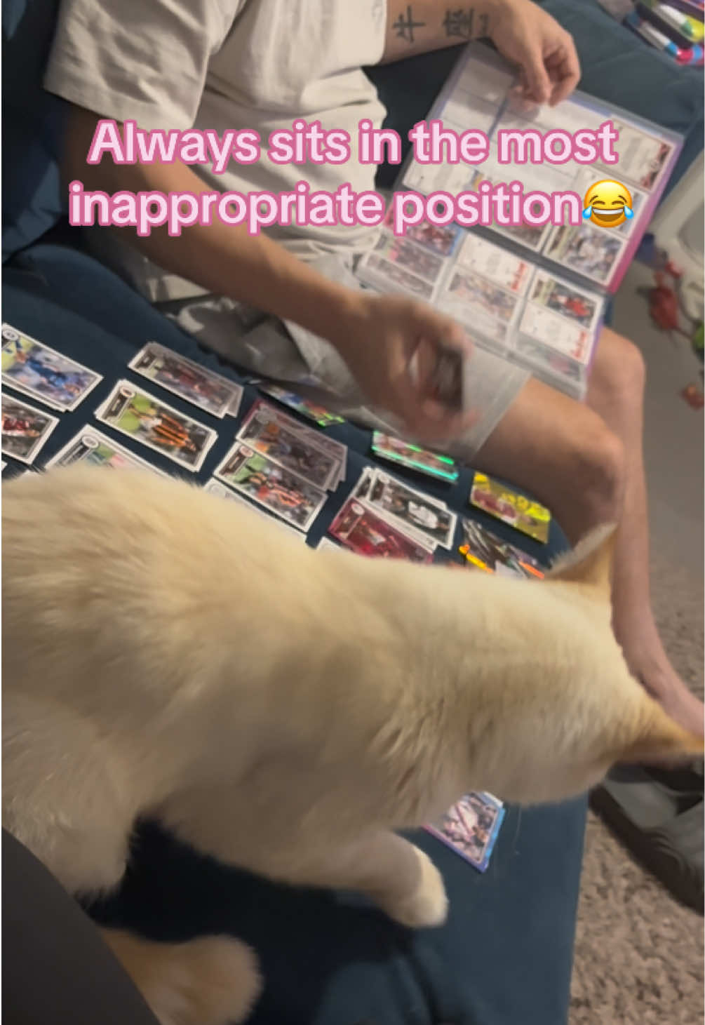 @ashley_mumofboys