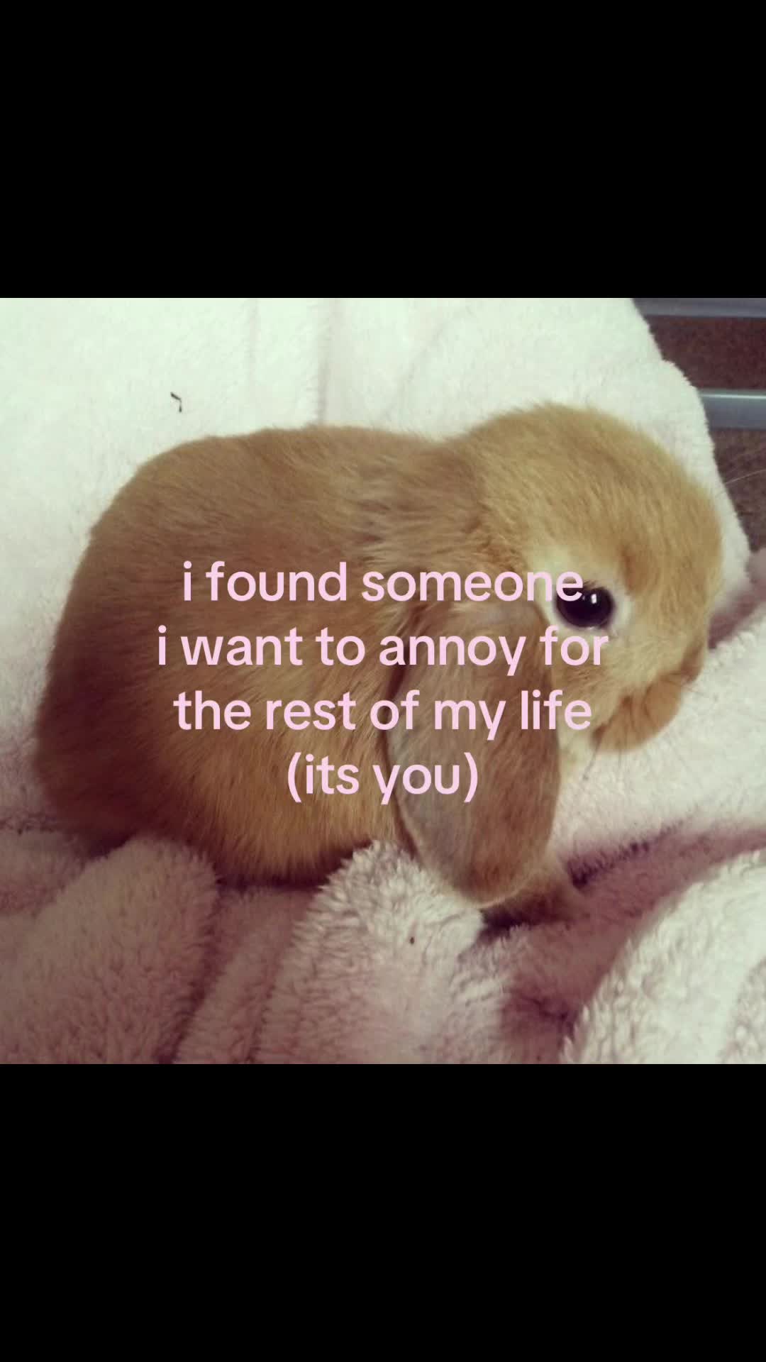 @rwnd