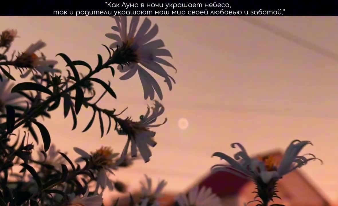 @rrraamazan.01