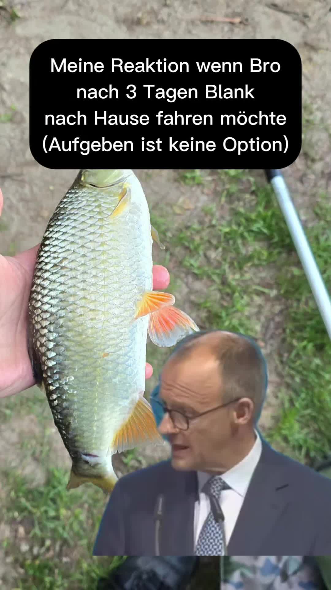 @northern_bank_fishing