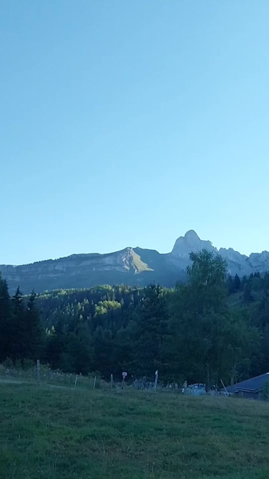 @wolfthebest