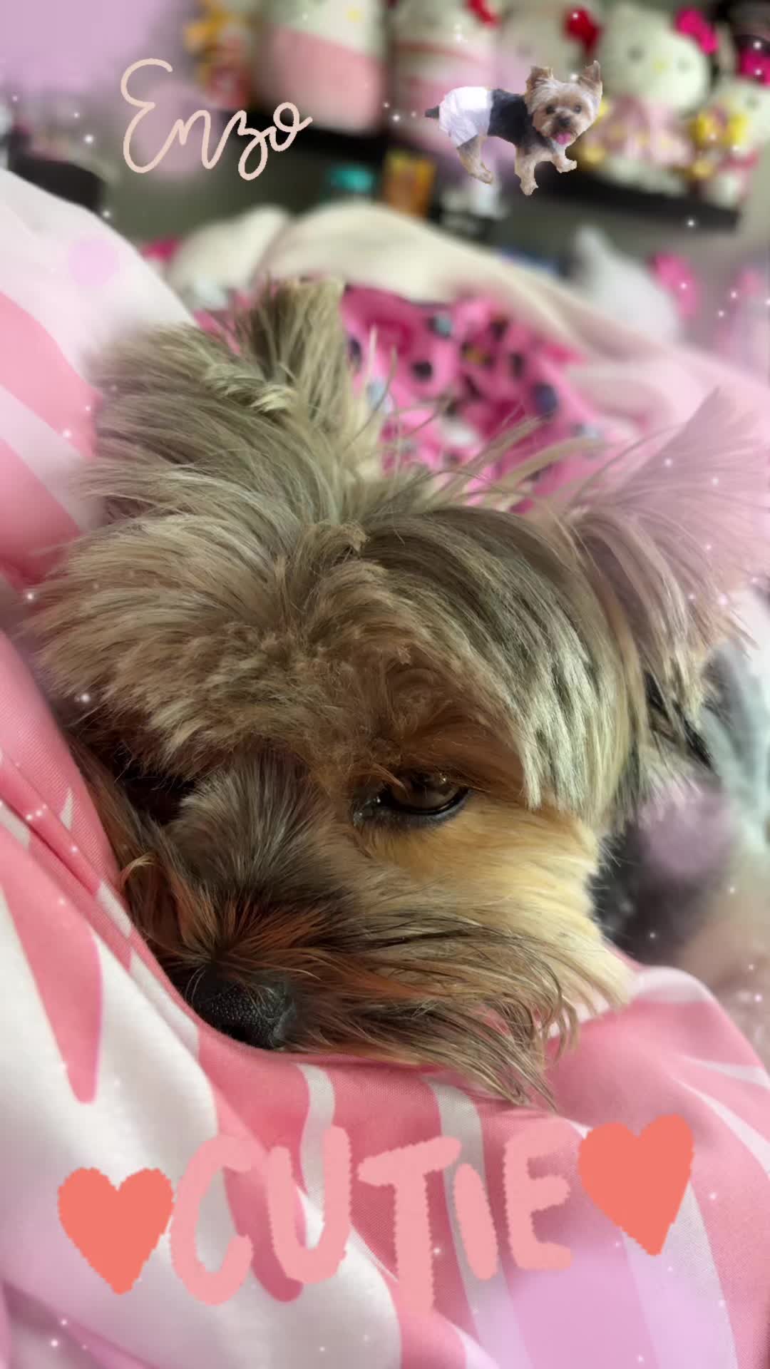 @🌸ᒪIᒪYᗷETᕼ ᗪᑌᖇáᑎ🌸