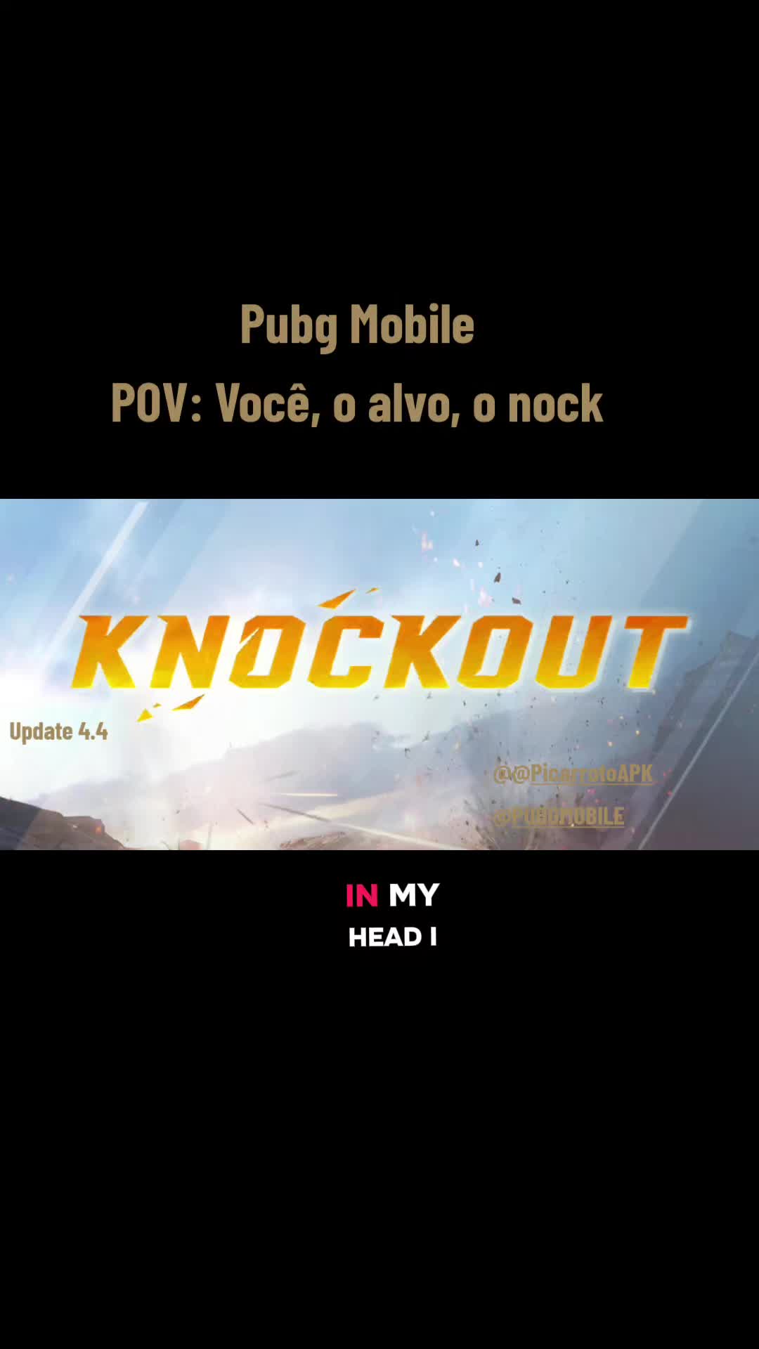 @PicarrotoAPK