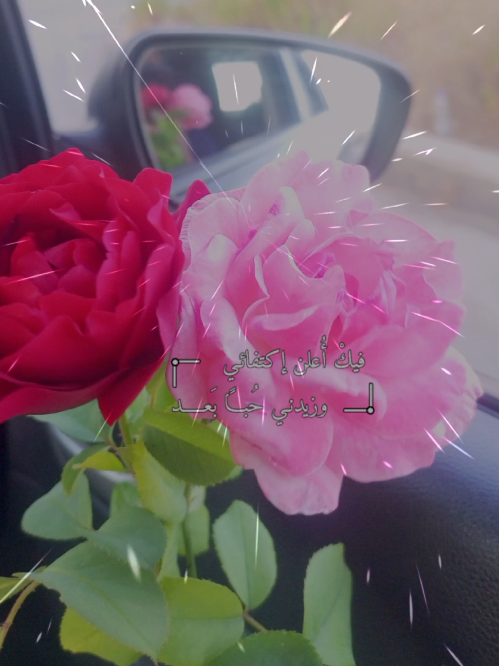 @lavendr81