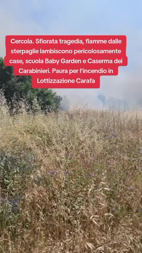 @protezione civile 🍀