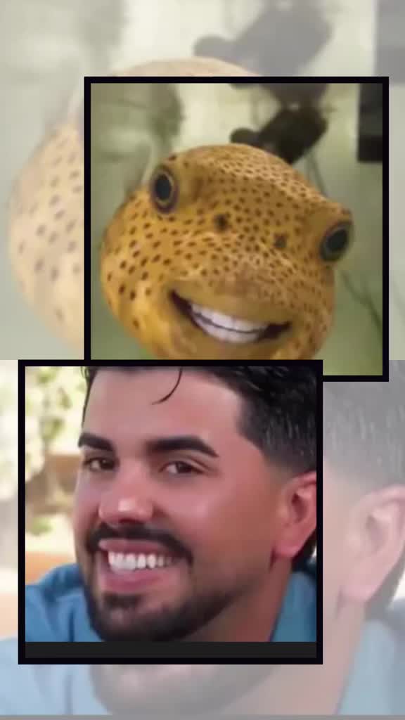 @Giorgia