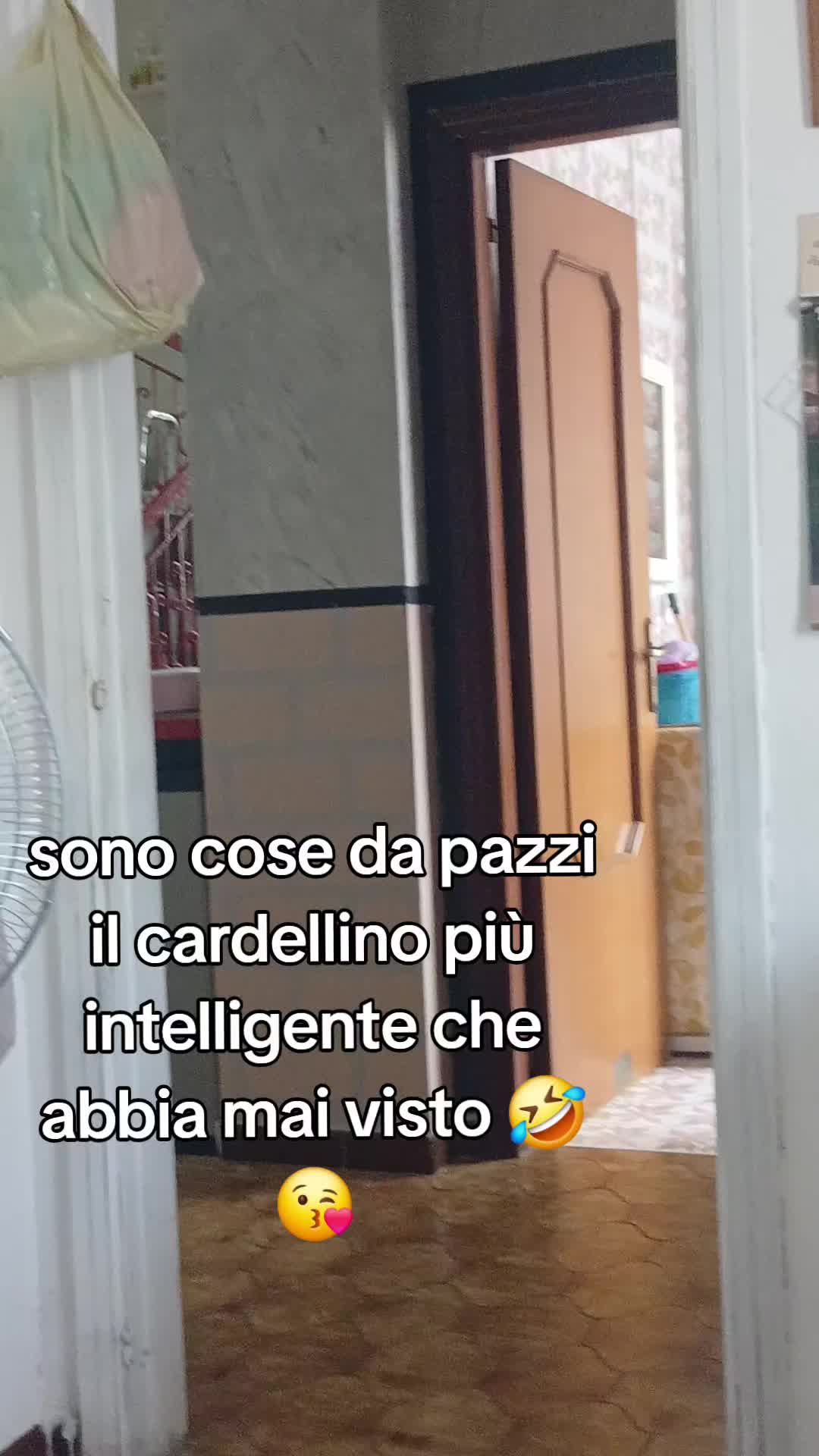 @Leonardo Dellacorte