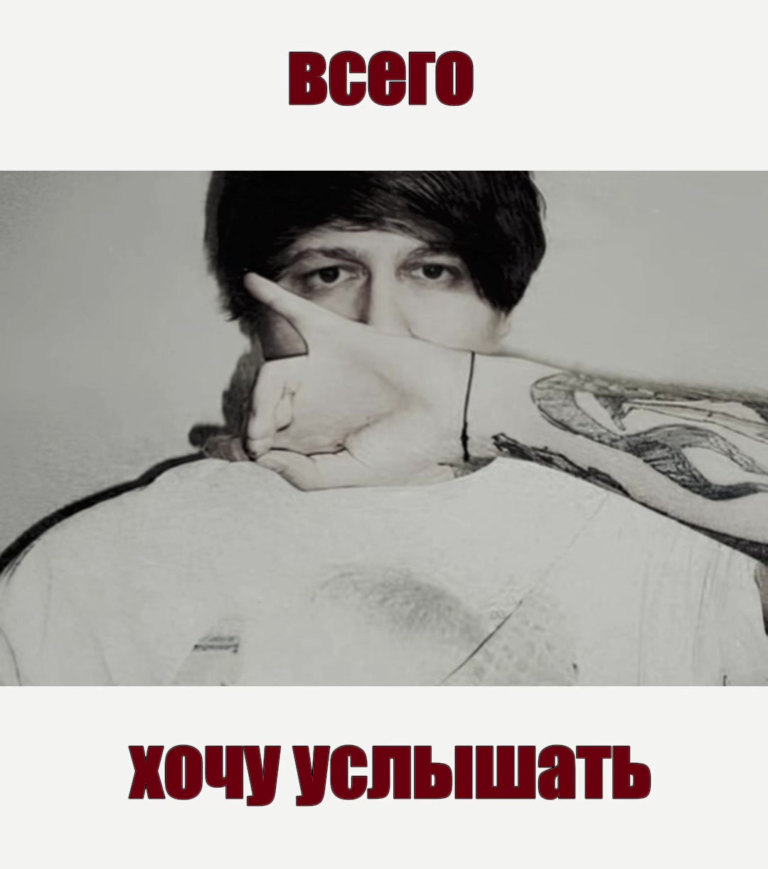@мс полинк