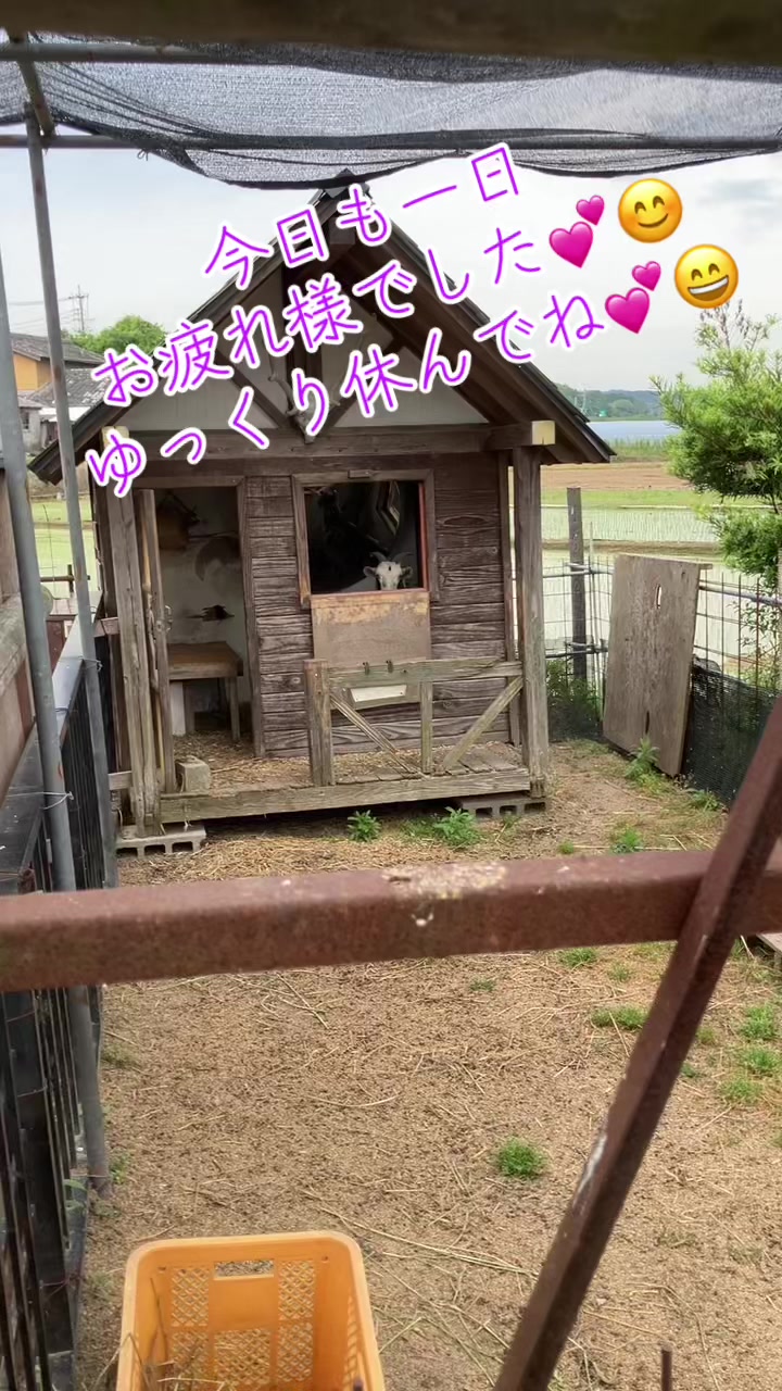 @ちゅうたん