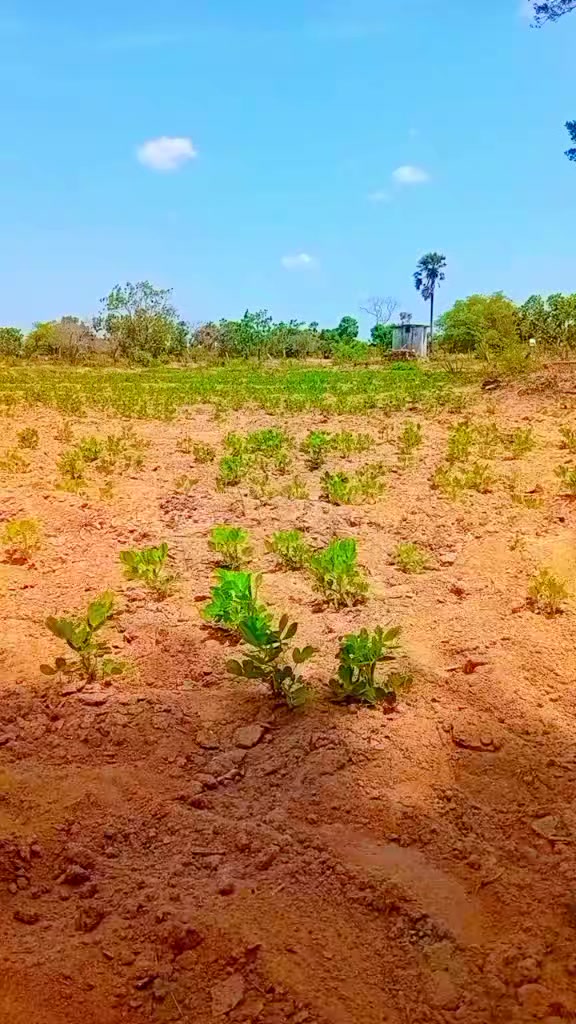 @குமாரசிங்கம்.பவிக்ஷளினி.