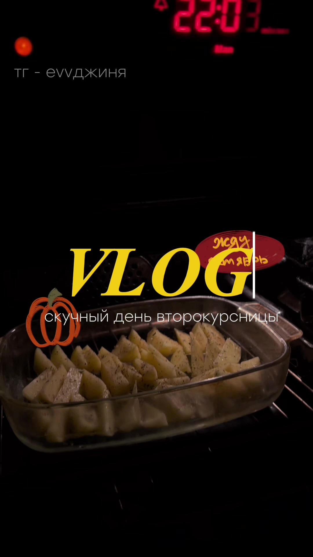 @тг-evvджиня