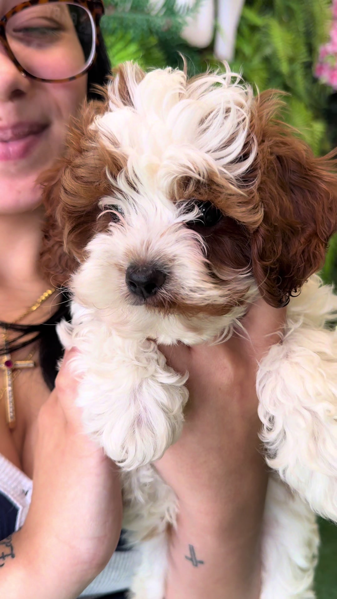 @FurbabyPuppies