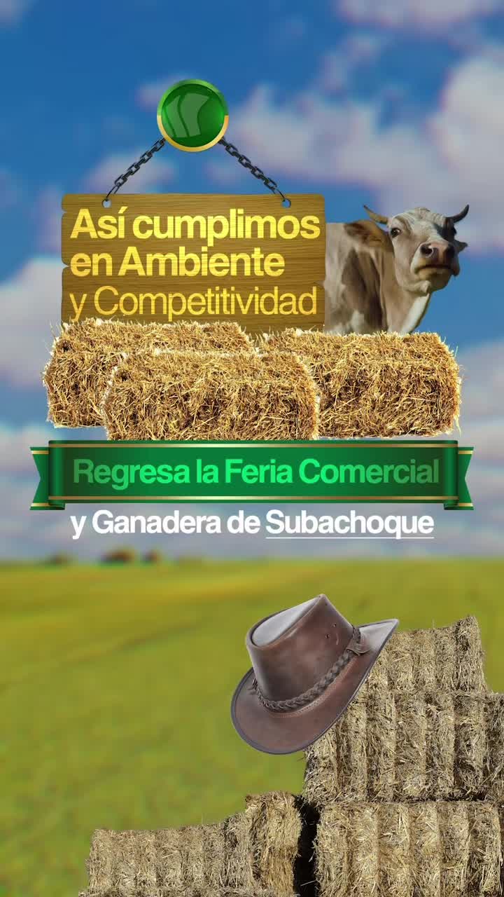 @Jorge CAMACHO