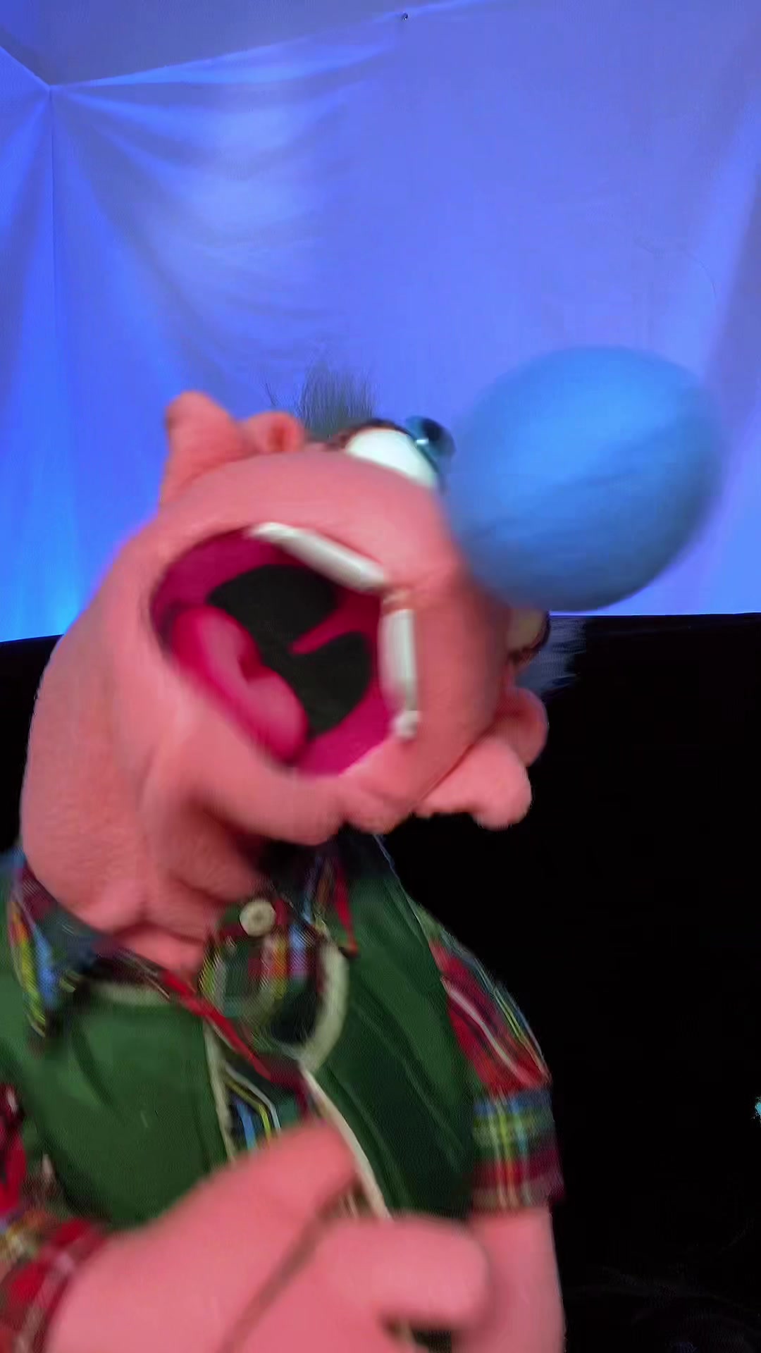 @Goodman&rsquo;s Wacky Puppets