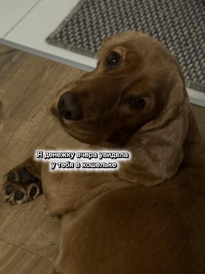 @xxnastanks