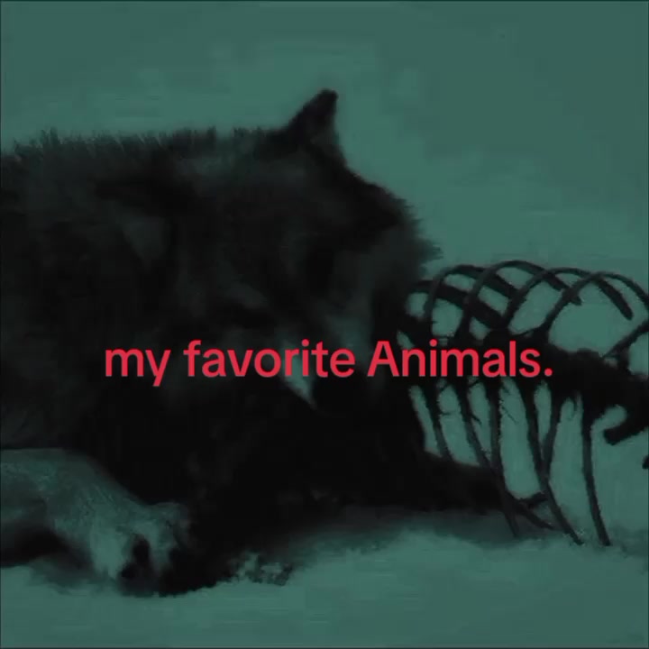 @user61437749155