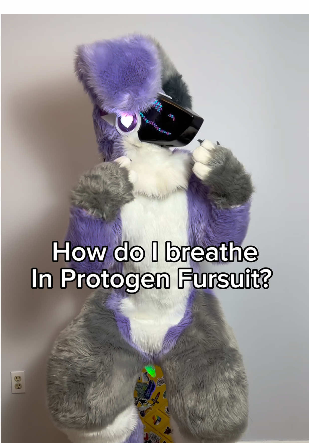 @SnowZard 🔜 FWA