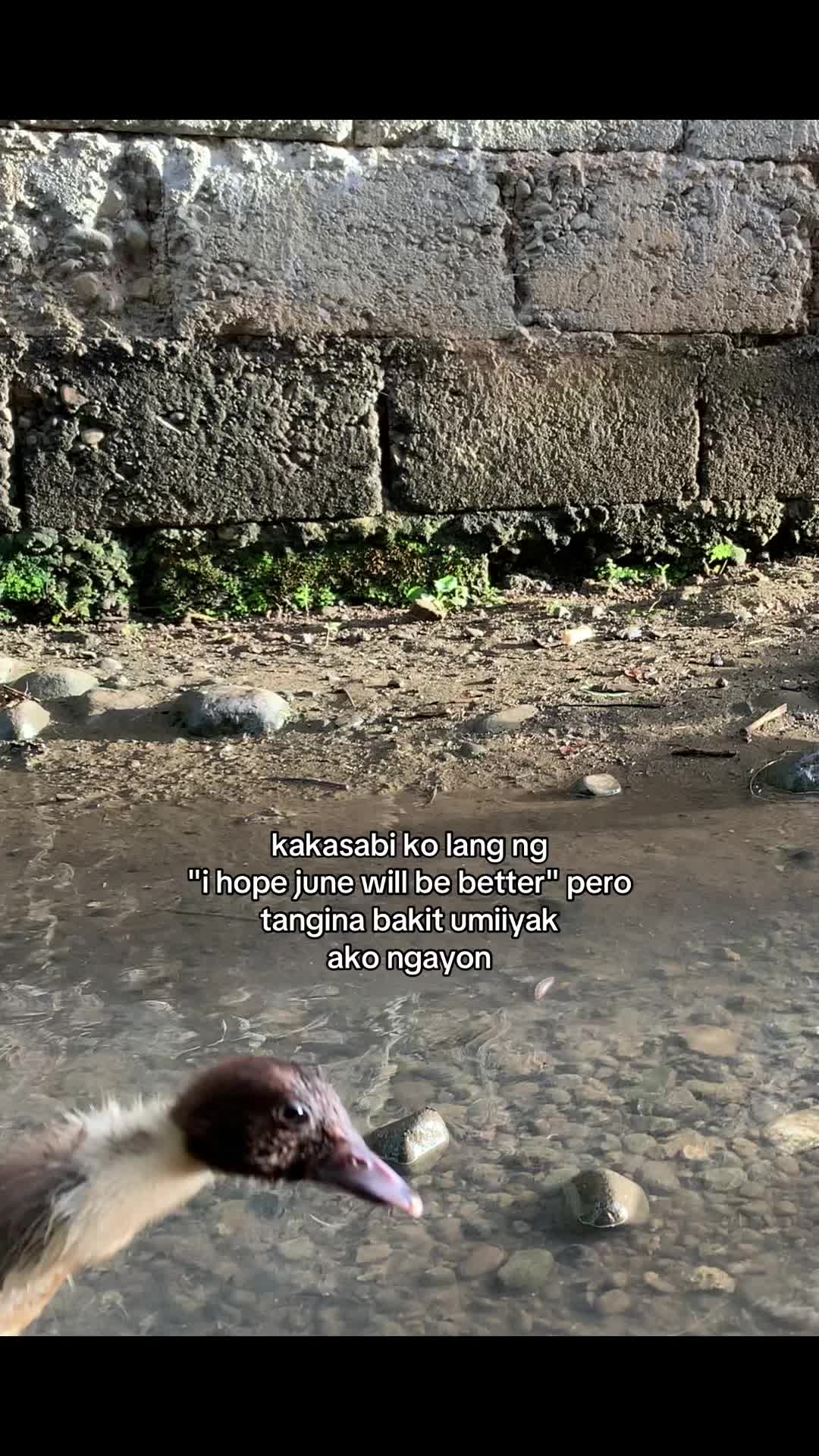 @Dos.