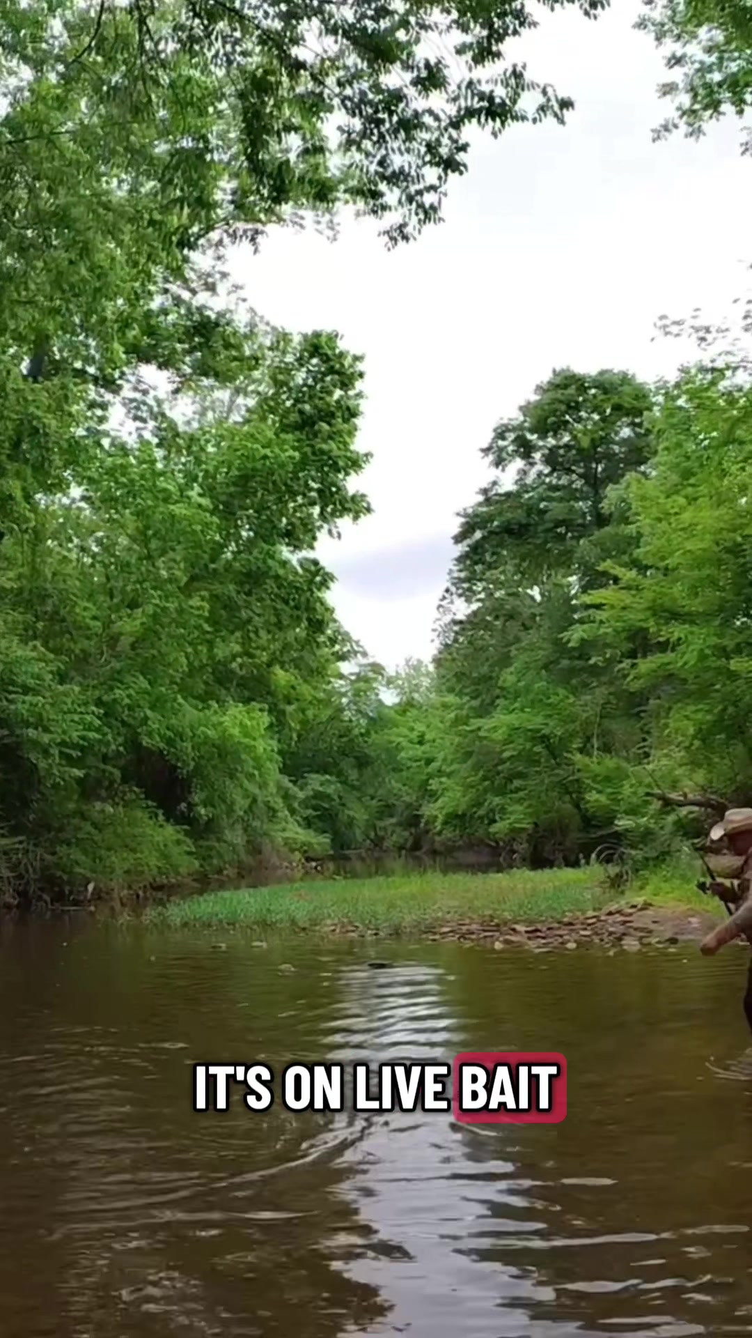 @Creek Seeker Outdoors