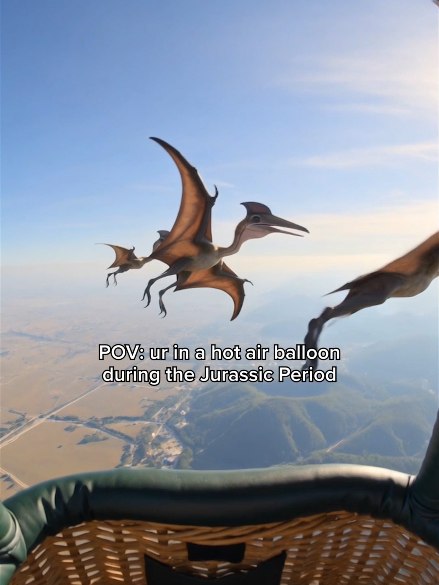 @ZooLogic
