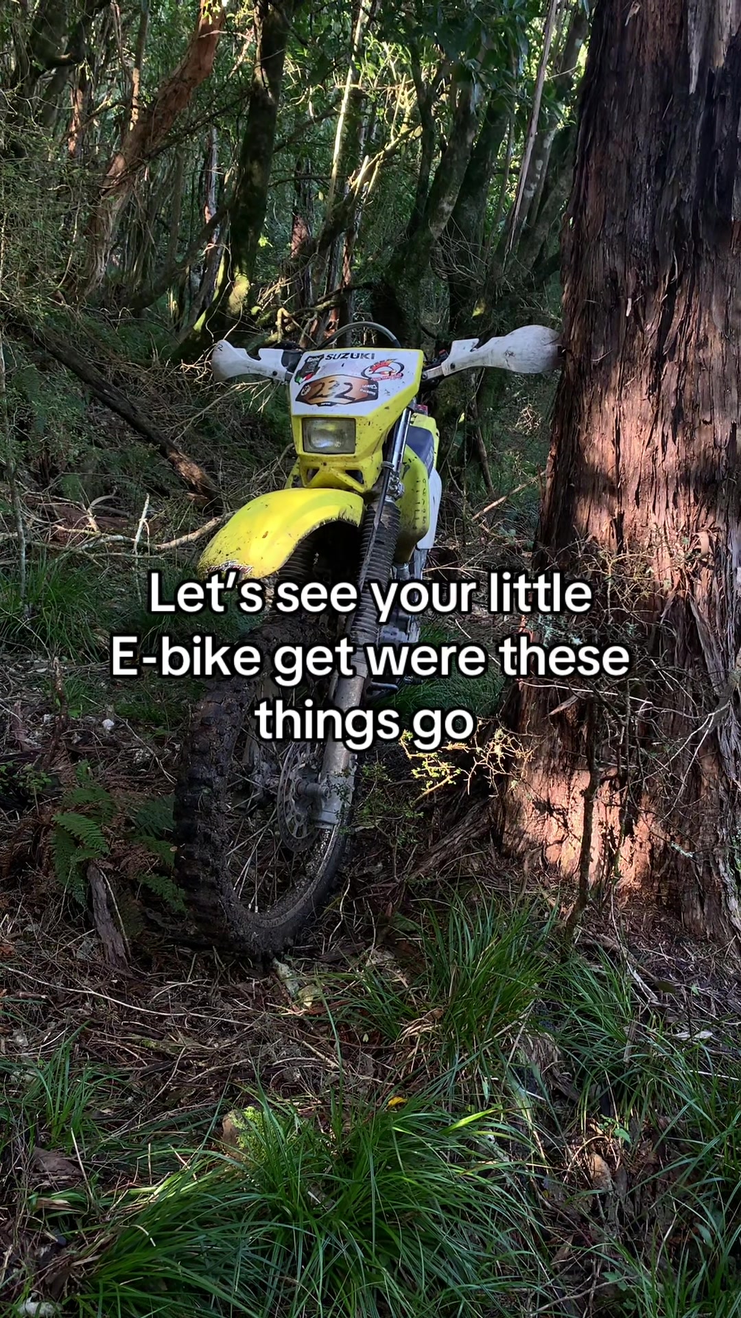 @DRZ Toby🫠