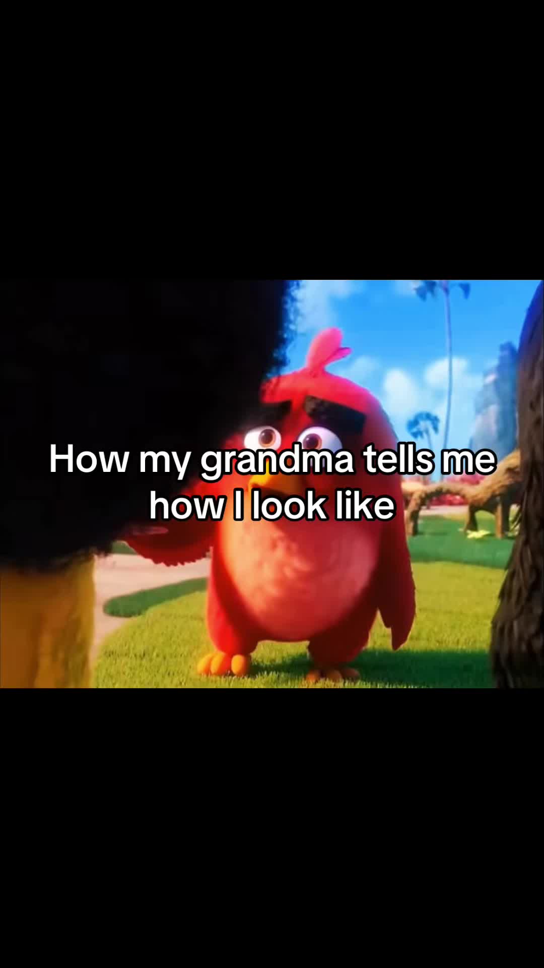 @Sc1the