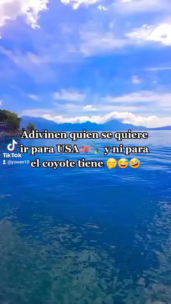 @W E N D Y 🦢