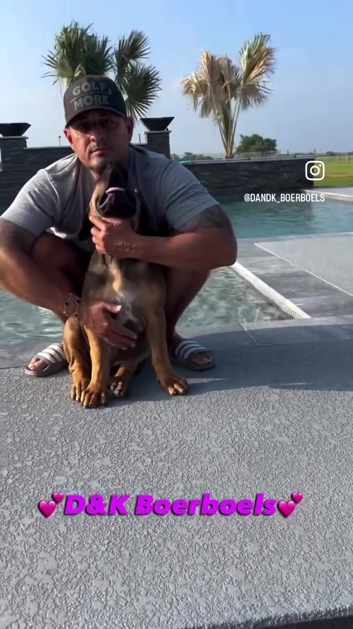 @D&K Boerboels
