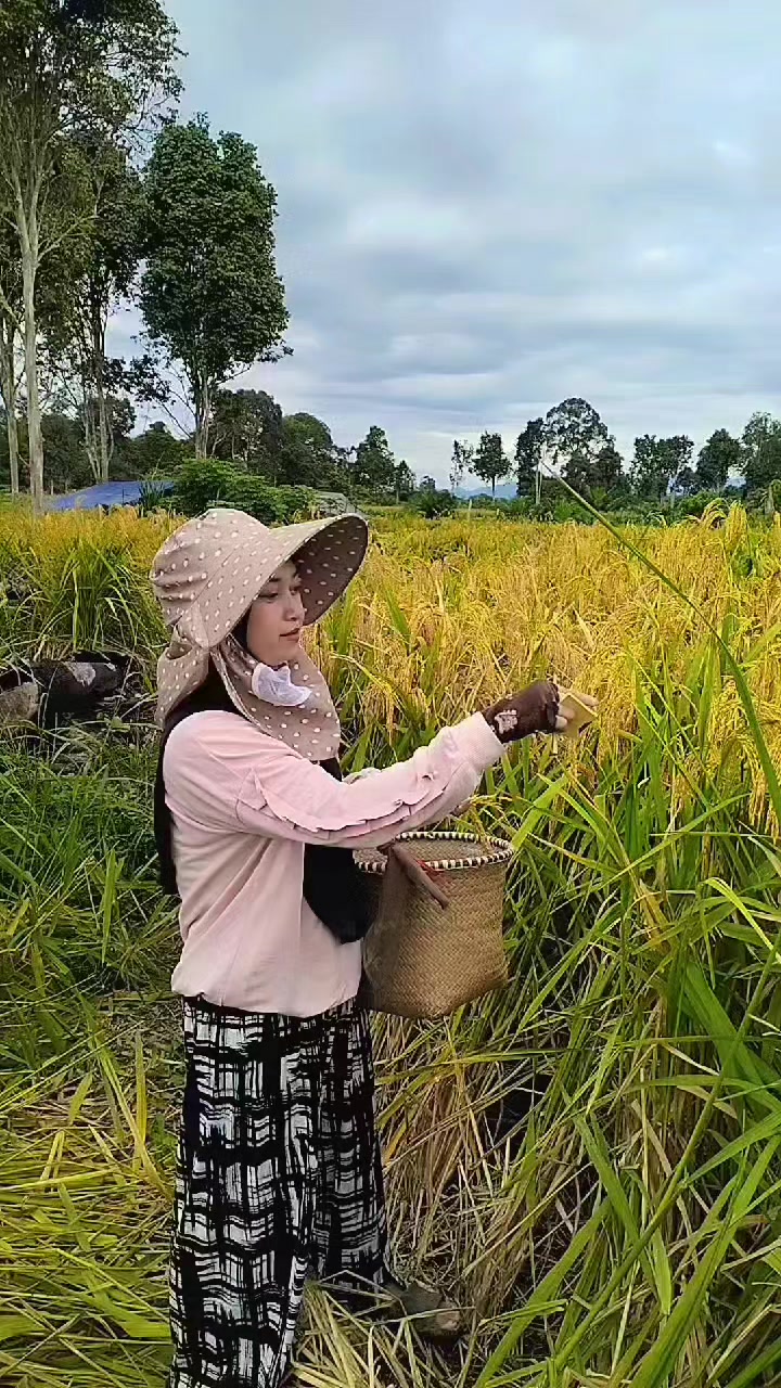 @SK