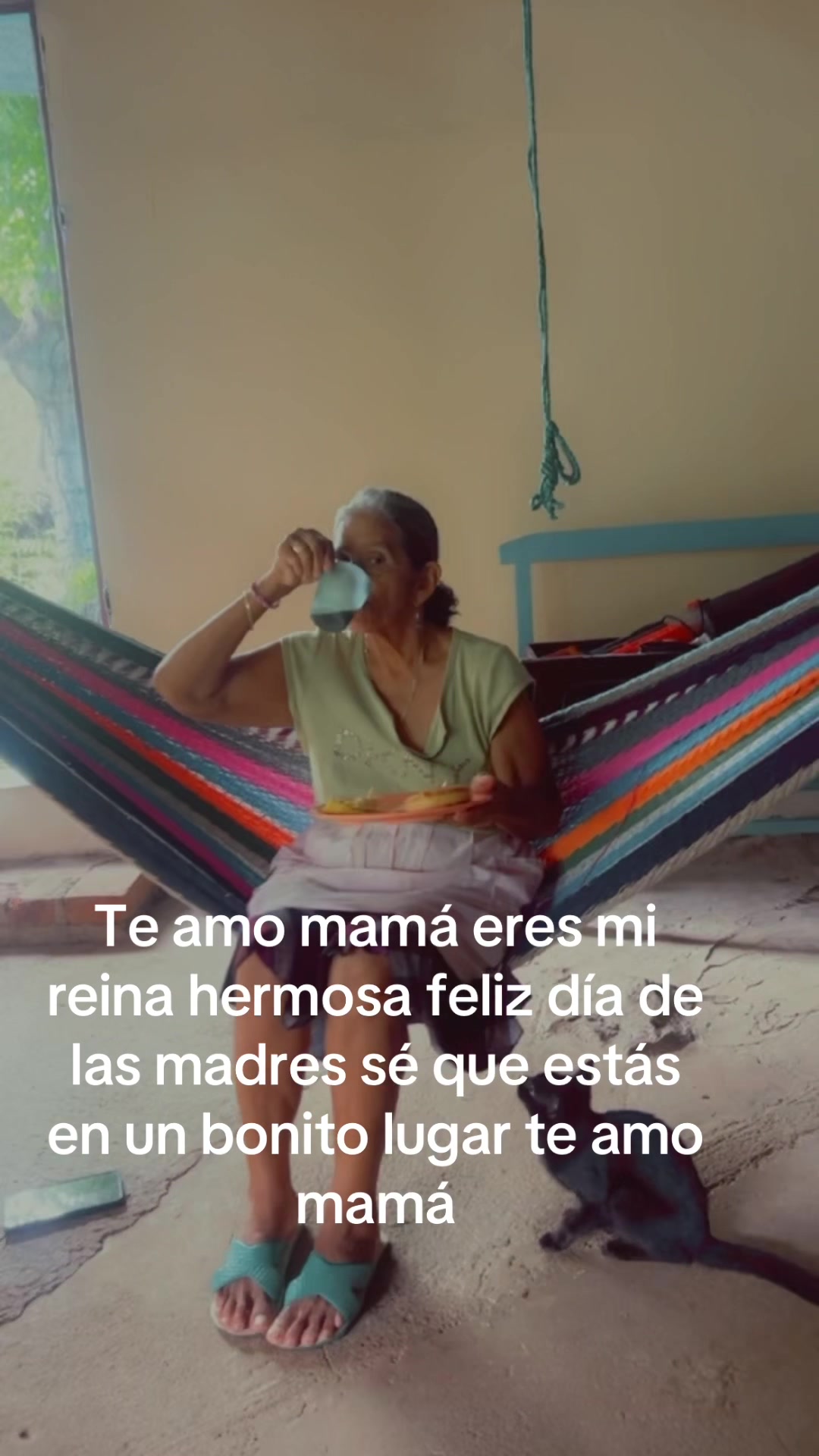 @Salom&eacute; Mej&iacute;a
