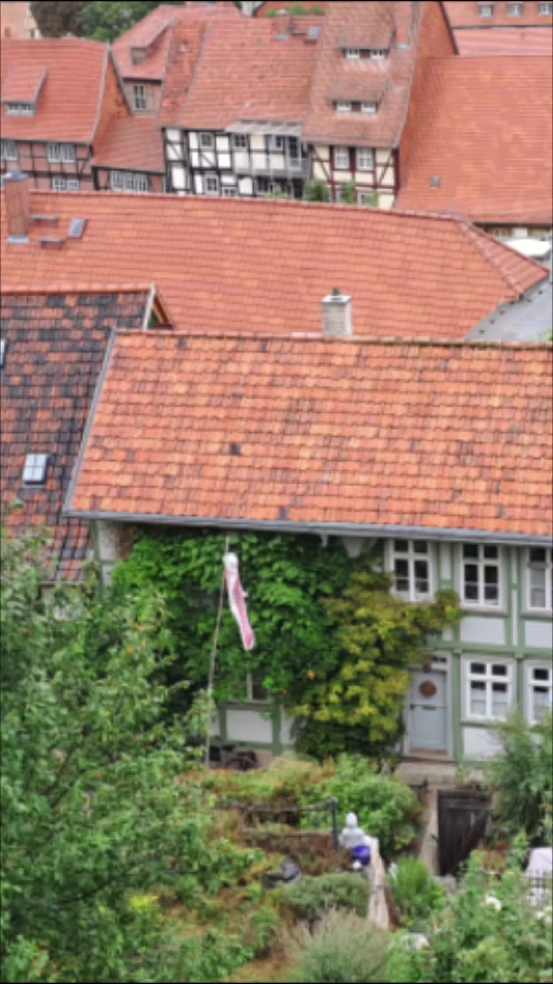 @v.gelchen