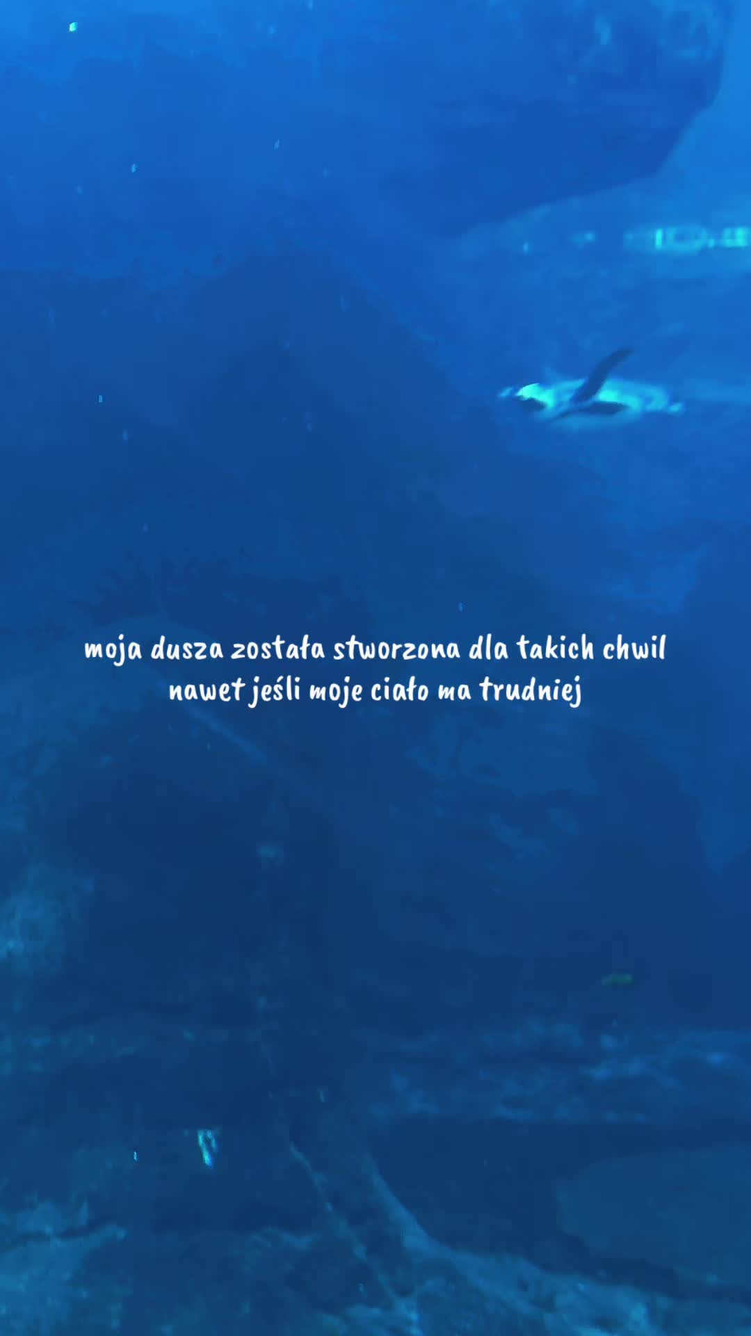 @EndoMona🎗️