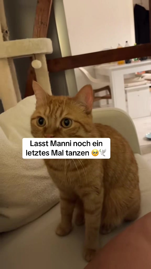 @Miska🧸📔