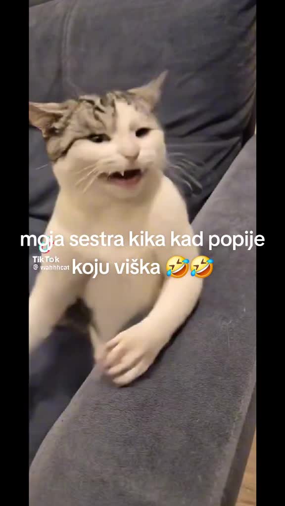 @Ivan 🐬